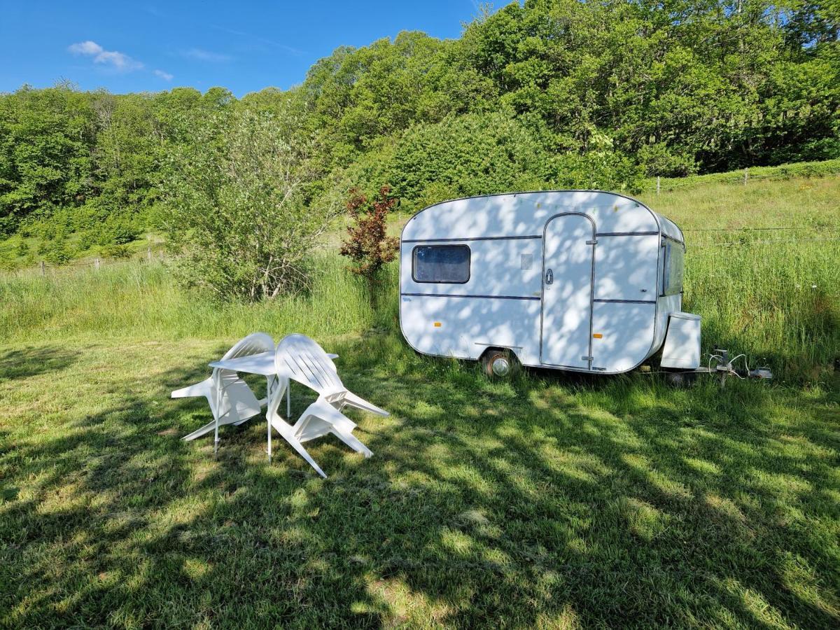 Camping La Foret Du Morvan Vintage Caravan Larochemillay 외부 사진